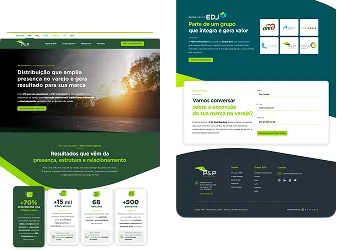 P&P Distribuidora