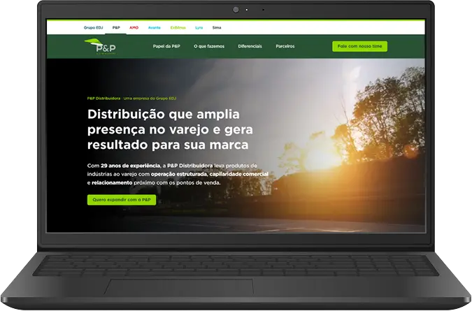Mockup de P&P Distribuidora